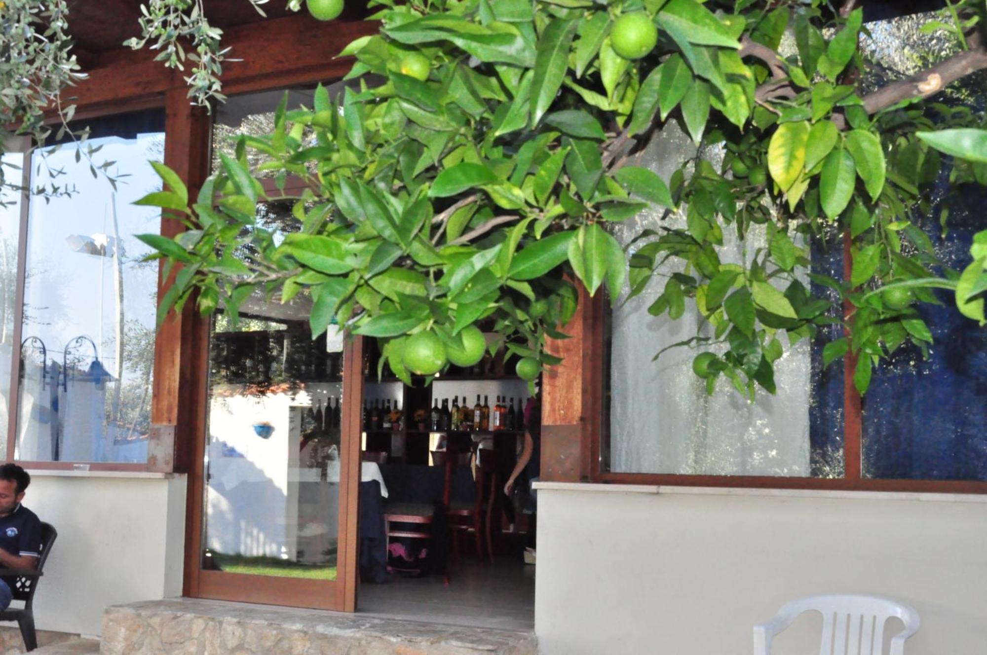 Hotel Il Melograno Маттіната Екстер'єр фото