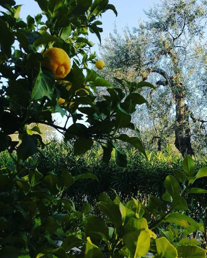 Hotel Il Melograno Маттіната Екстер'єр фото